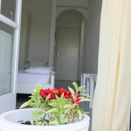 Inn Zannet Parikia (Paros)